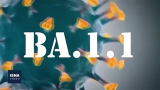 زیرسویه‌های اُمیکرون، یکی بدتر از دیگری