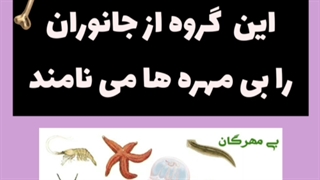 بی مهره ها قسمت اول درس یازدهم