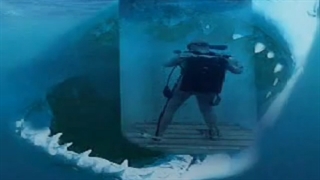 The Megalodon-Ancient Shark