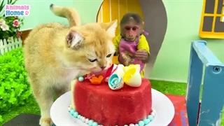 فیلم*Animals Home*قسمت بیست و ششم