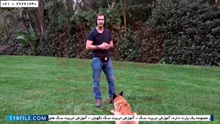 آموزش سگ-تربیت سگ-تربیت سگ خانگی-آموزش اطاعت پذیری
