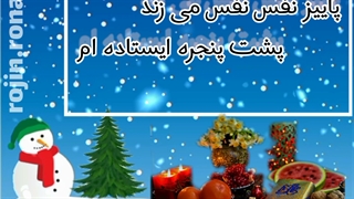 ویدئو انگیزشی_روژین روناسی