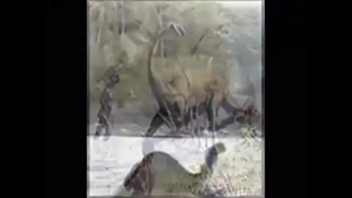 موجودات ناشناخته و عجیب و وحشتناک +13