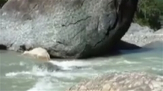 سبحان الله تصاویر خارق العاده وبکر که هرگز تاکنون در زندگی ندیده اید .