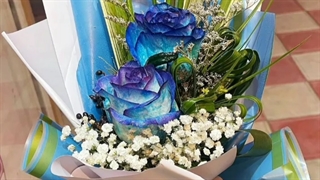 گل فروشی مسعودیه تهران