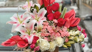 گل فروشی شهرک کیانشهر