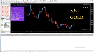 ربات تمام اتوماتیک گلدیج - ۹۷۸ دلار سود