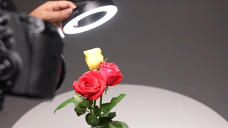 عکاسی ماکرو را با فلاش ماکرو جذاب تر کنید! - نگاه شاپ