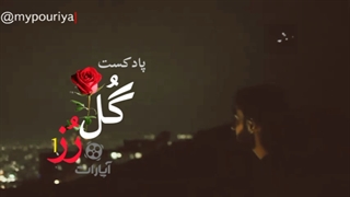 اینترو پادکست عاشقانه گل رز