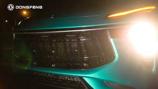 لاماری ایما محصول دانگ فنگ