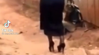 الهی:)))) Sanaee