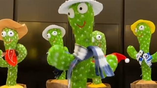 کاکتوس سخنگو رقصنده