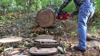 مقایسه اره اشتیل و دلمار