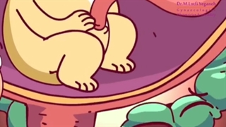 انیمیشن دوره حاملگی