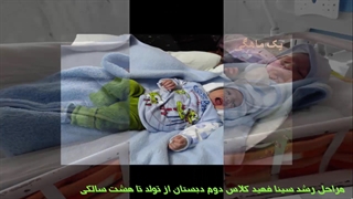 مراحل رشد انسان-سینا فهید