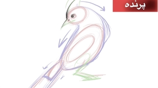 ویدیو آموزش پرنده فرهاد رفیعی