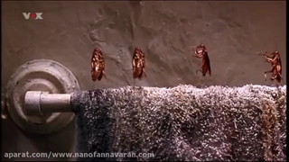 سمپاشی سوسک در تهران
