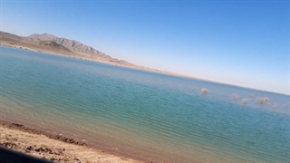 فیلم. اسفند 1400.تالاب محمد اباد.شهرستان قاین