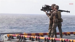 هنوز استینگر