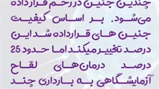 احتمال چند قلویی در IVF