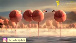 چاقی رو جدی بگیرید