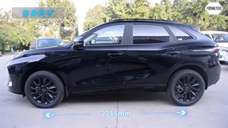 لاماری ایما در چین