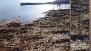 سد روستای محمد آباد علم , قاین