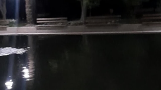 باغ سرسبز کویر