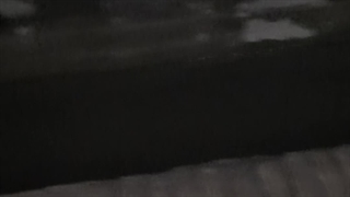 باغ سرسبز کویر