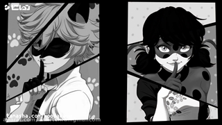 نایتکور_از_لیدی باگ_و_کت نوار