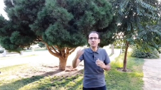 در لحظه اول ارتباط