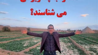 شمارو با چه ویژگی میشناسن