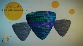 انواع خدمات متخصص زنان