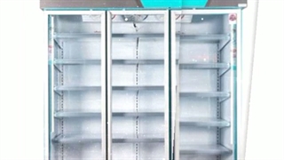 یخچال پروتئینی ایستاده ریما سرما