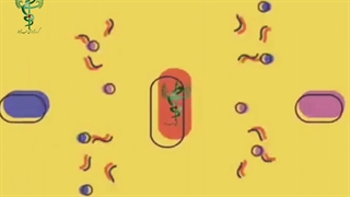 آموزش کامل و 0 تا 100 کار با پلاسما پلامر