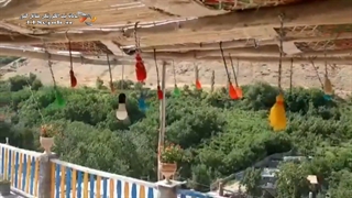 اقامتگاه بومگردی ساره گل در همدان بلیچینگ دندان