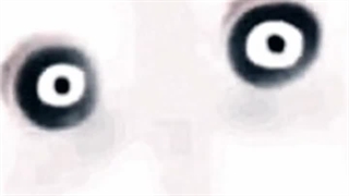 روش احضار واقعی و خوفناک جف قاتل بهمراه ماجرای عکس حقیقی او (مجموعه مستندهای کوتاه ۶۰ _ قسمت ۱ )