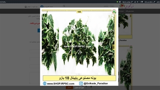 بوته های مصنوعی پاپیتال RA0161