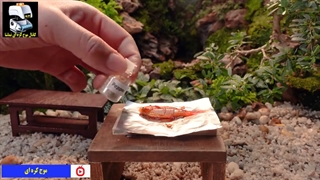 آشپزی مینیاتوری : ماهی شب عید ! - موج کره ای