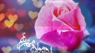 آمد بهار جان ها