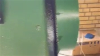 شرکت کولاک فن تولیدکننده انواع فن سانتریفیوژهای صنعتی091218656710.0