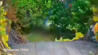 " ۱۴۰۱ "  قرن نو  سال نو  مبارک