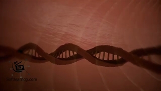 چگونه پوست صورت پیر و چروکیده میشود؟