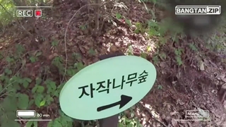 BTS _ BangtanZip