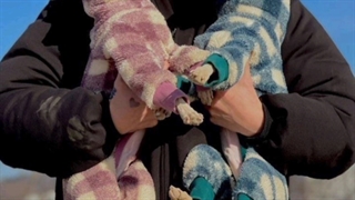 Jeon Jungkook | بخش توضیحات