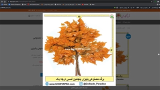 برگ های مصنوعی پاییزی بنجامین