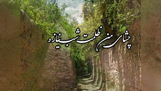 کوچه باغ راز - استاد نادر گلچین