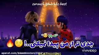 طنز لیدی باگ و کت نوار