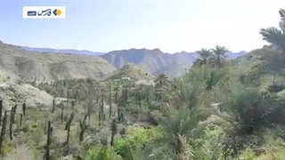 تنگ مهر