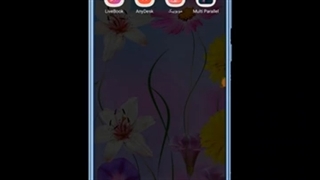 نمایش صفحه دسکتاپ روی گوشی